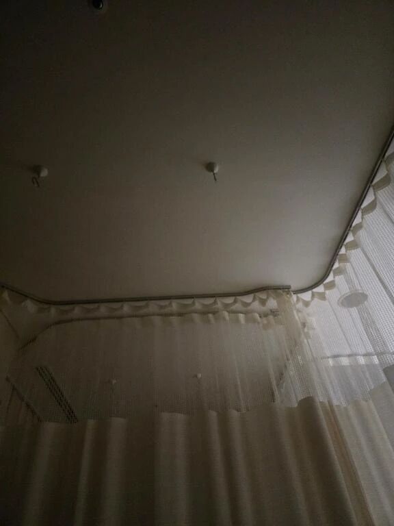 おはようございます&#128523;