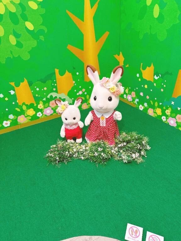 おはようございます&#128522;