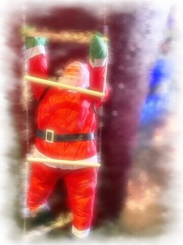 おはようございます