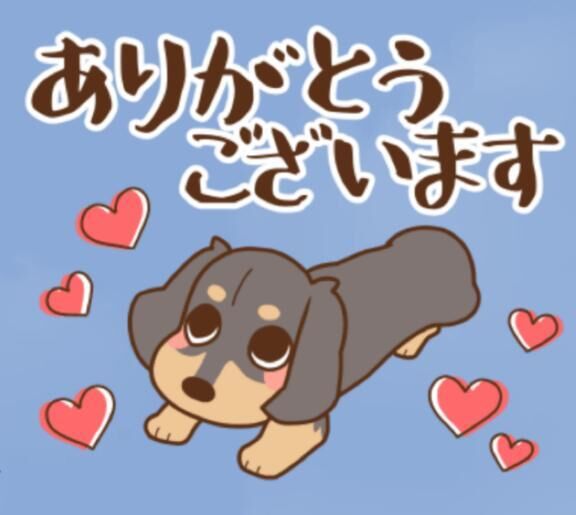 P指様、ありがとう