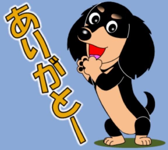 P指様、ありがとう