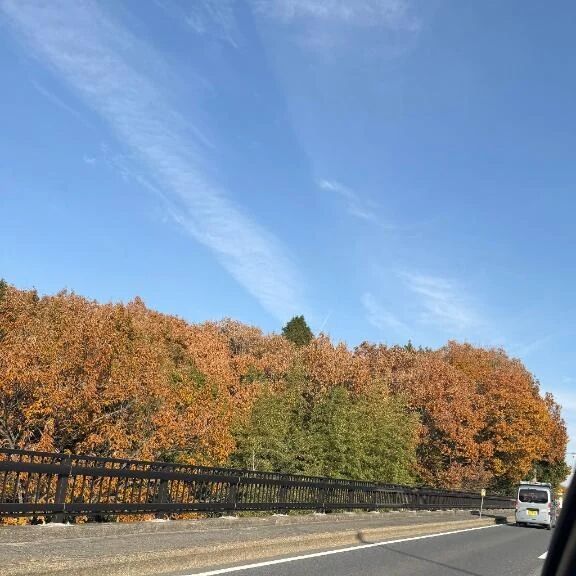 【次回18時&#x301C;】