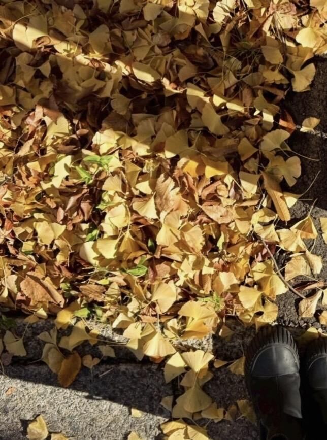 出勤してます♡