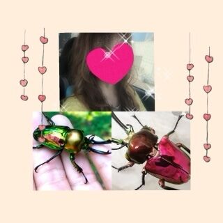 ありがとうございました♪