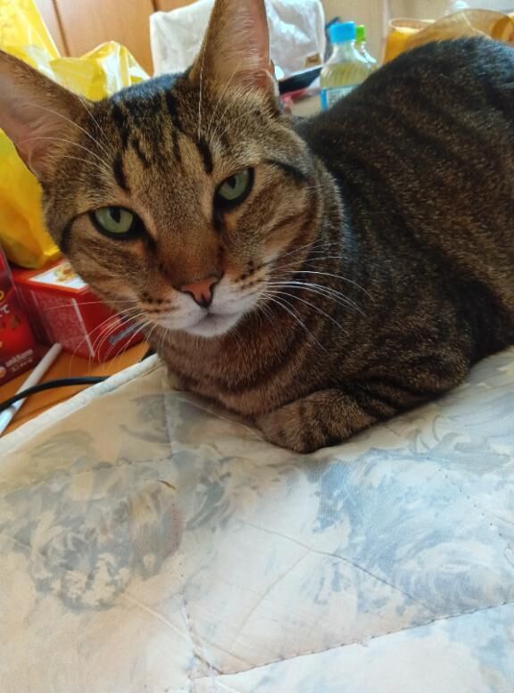 出勤しましたぁ