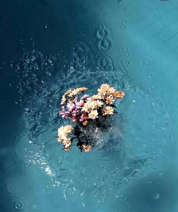 12月前半予定