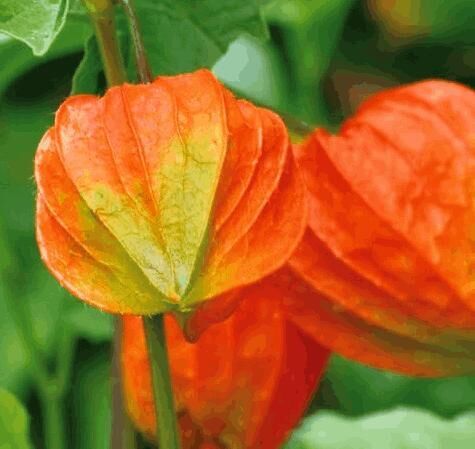 昨日のお礼です&#9825;