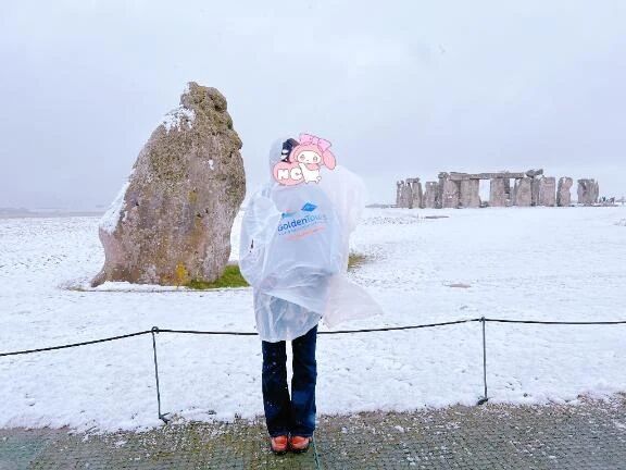 全部雪のせいだ