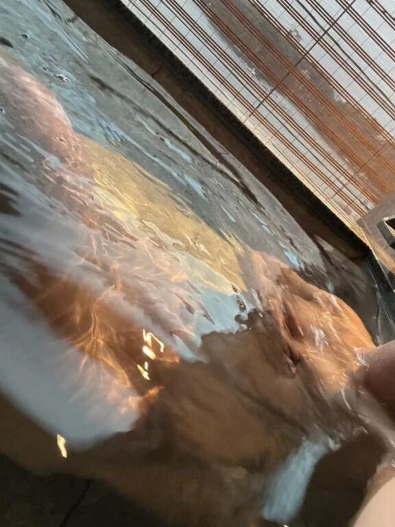 おはよう&#9728;&#65039;