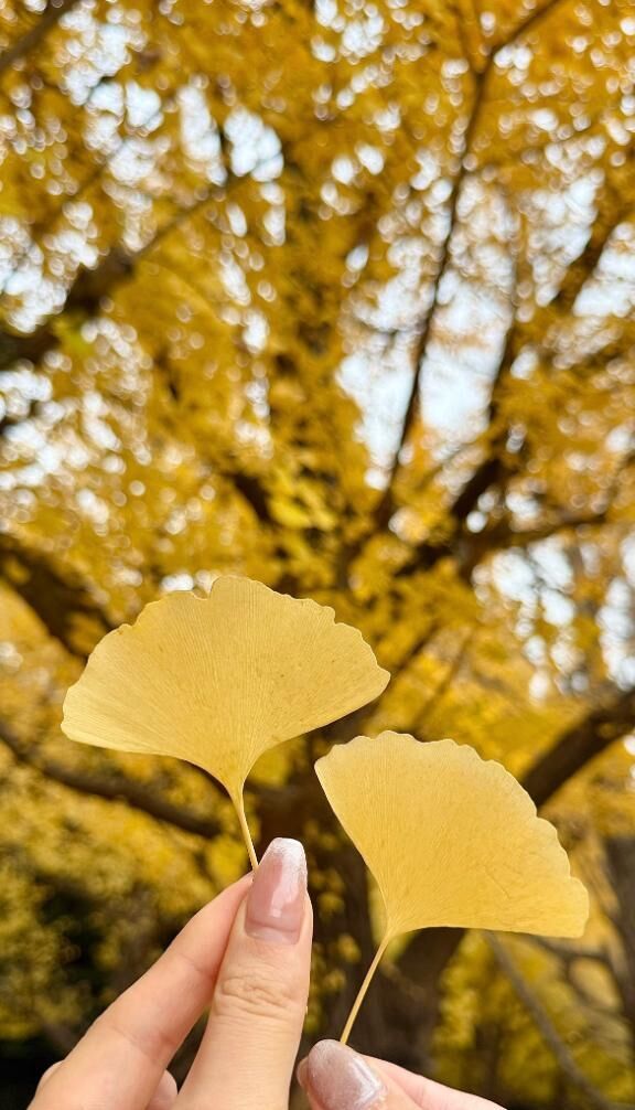 おはようございます♡♡