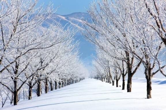 出勤しました&#129392;