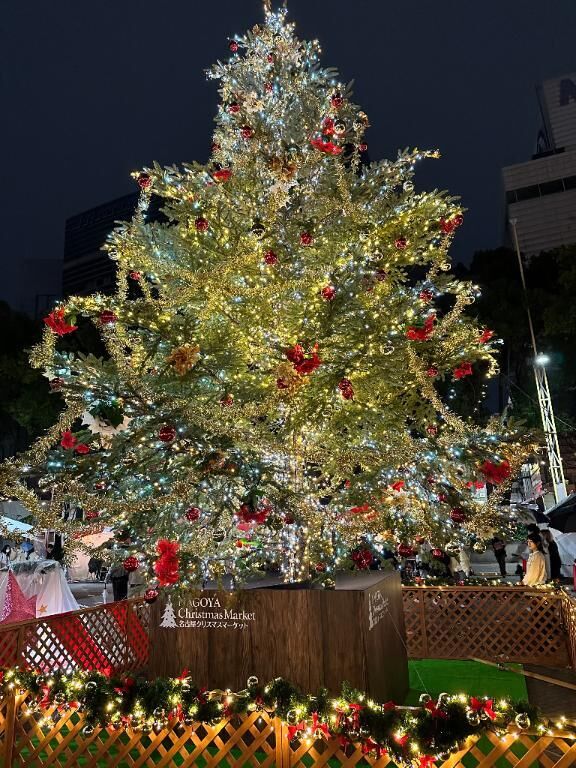 今日から本格的☆彡