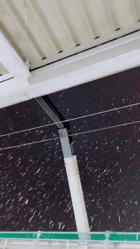 ❤️雪が舞う❤️