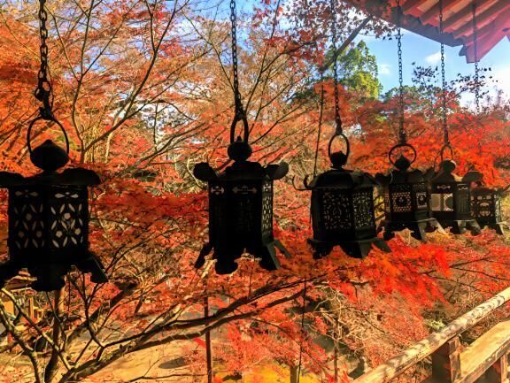神社仏閣巡りと三輪そうめんとかき氷。