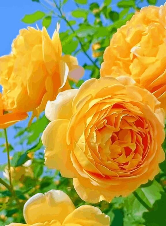 昨日のお礼です&#9825;