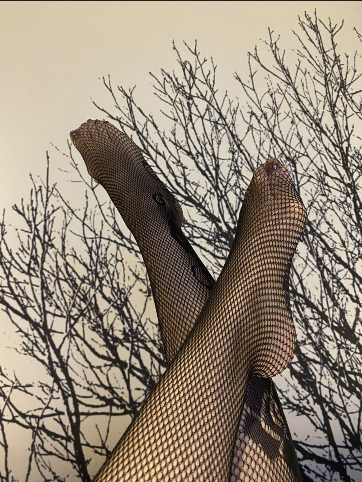 おはよう御座います