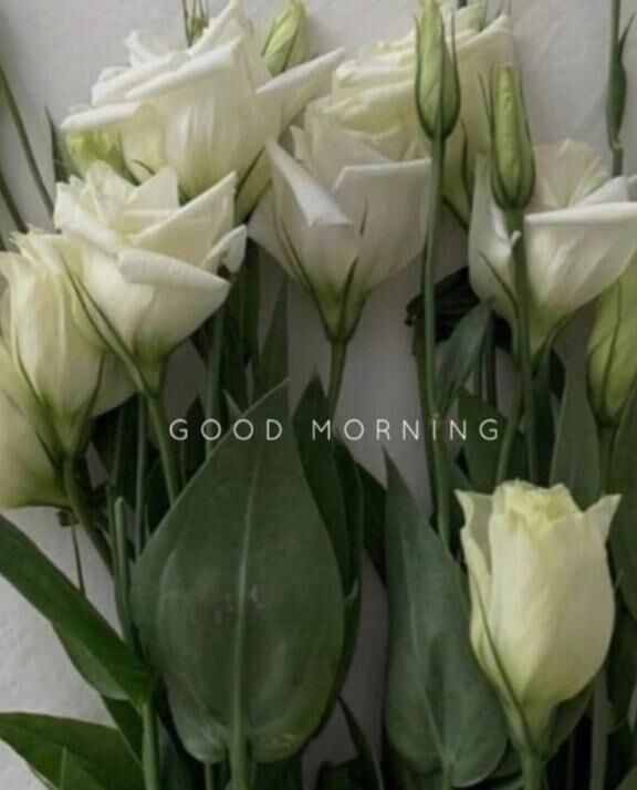 13時頃&#x301C;&#127539;あります&#128583;&zwj;♀&#65039;