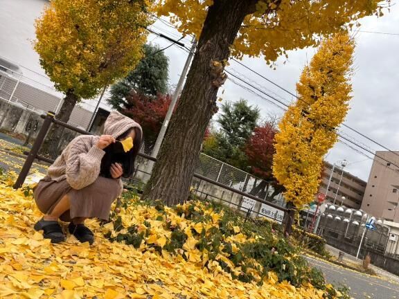 落ち葉♡