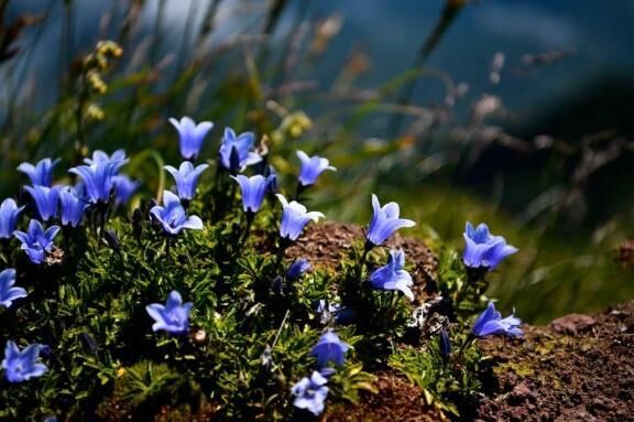 覚えないヤツです