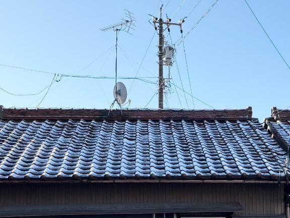 初雪だ(￣▽￣)