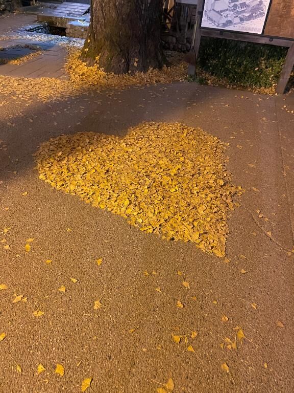 ( &#9825;&#9825;&#9825;&#9825;&#9825; )&#9825;&#9825;