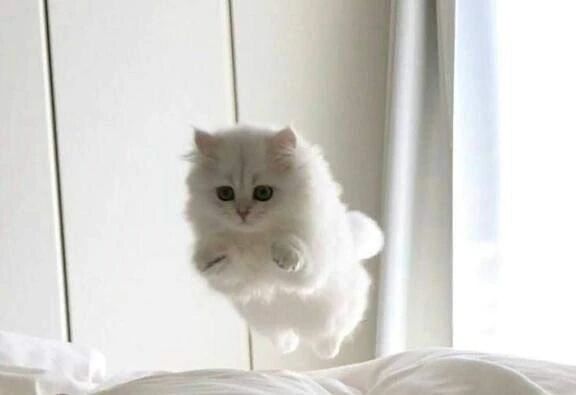 ⟡.&middot;*.12月⟡.&middot;*.