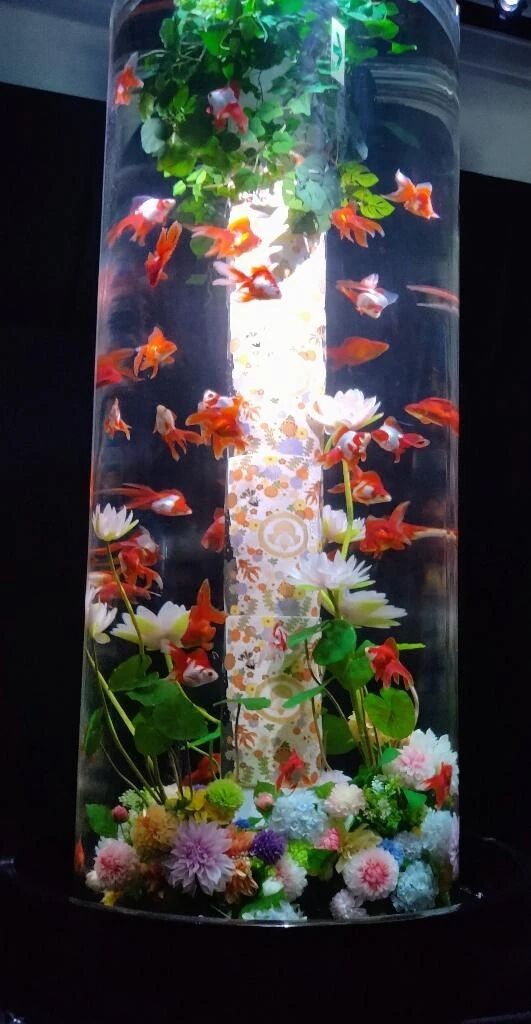 木曜日から月曜日に変更です。