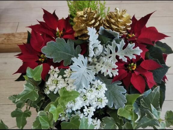 [お題]from:半年かよってるのにさん