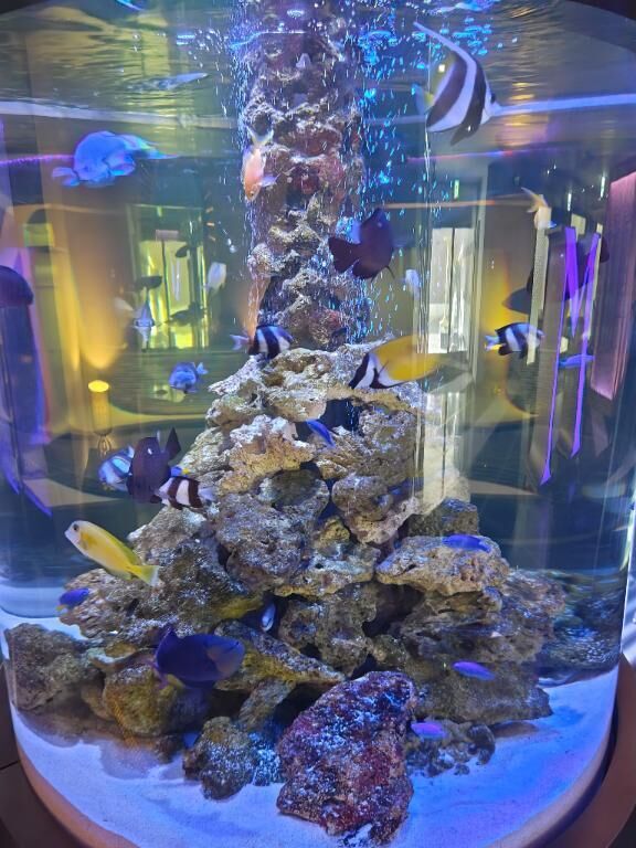 ありがとうございます&#9825;