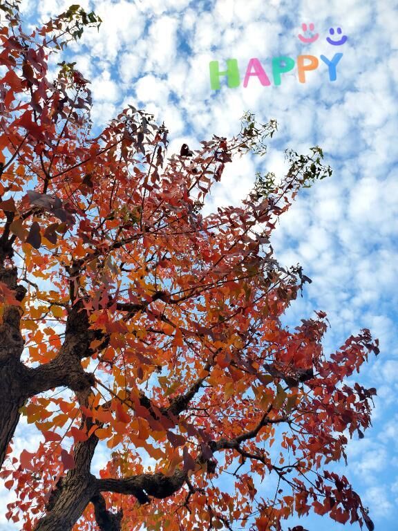 おはようございます♪