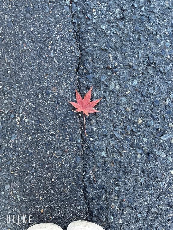 おはようございます&#9825;&#9825;