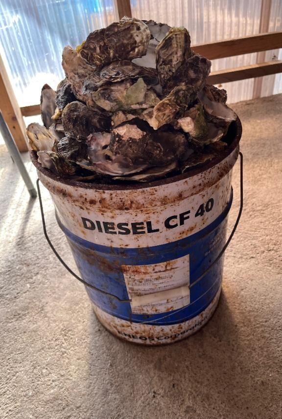 牡蠣食べ放題♡