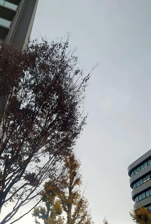 到着しましたよぉ&#x301C;