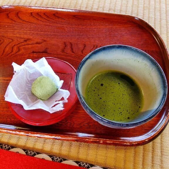 本日お休みさせて頂きます。