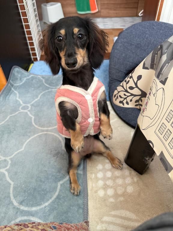 おはようございます