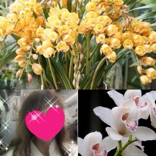 おはようございます♪