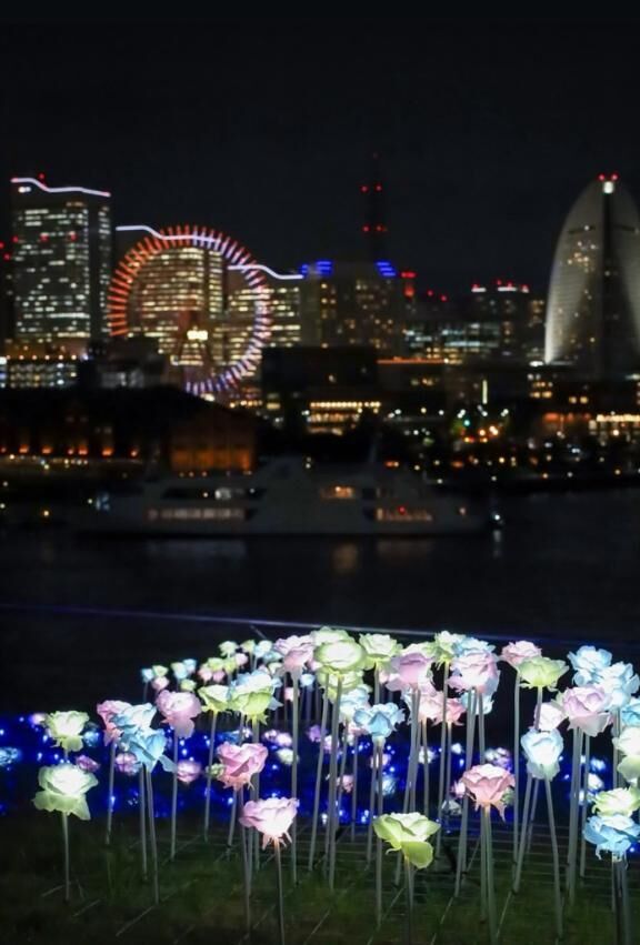 &#9825;&#9825;　みたよ　&#9825;&#9825;