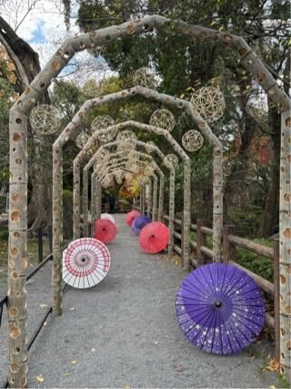 岡崎仲良しさま♡