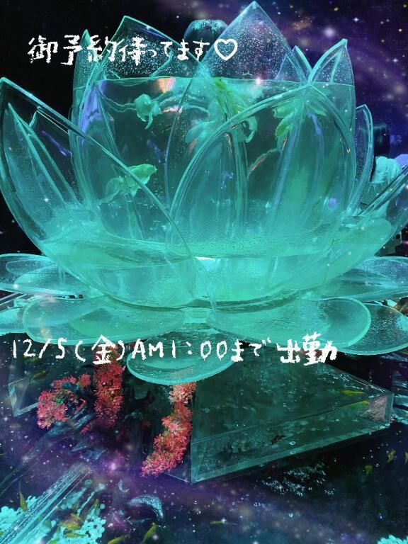 夜&#9825;出勤&#9825;&#9825;&#9825;