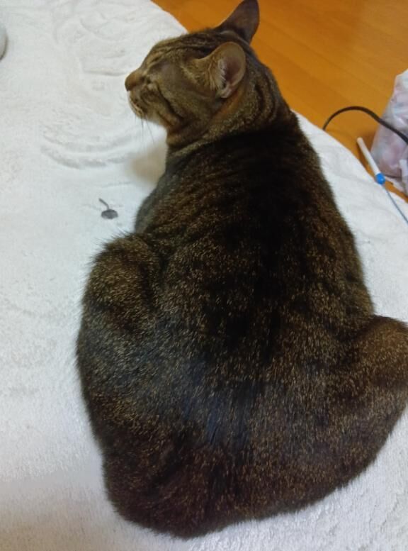 おはようございます