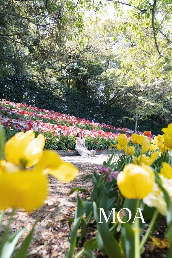 事前予約受付中