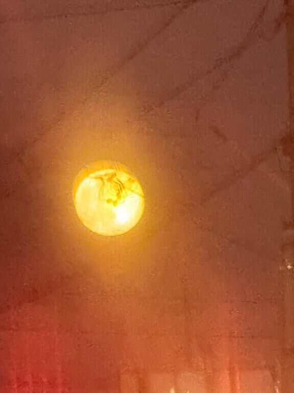 帰り際に……