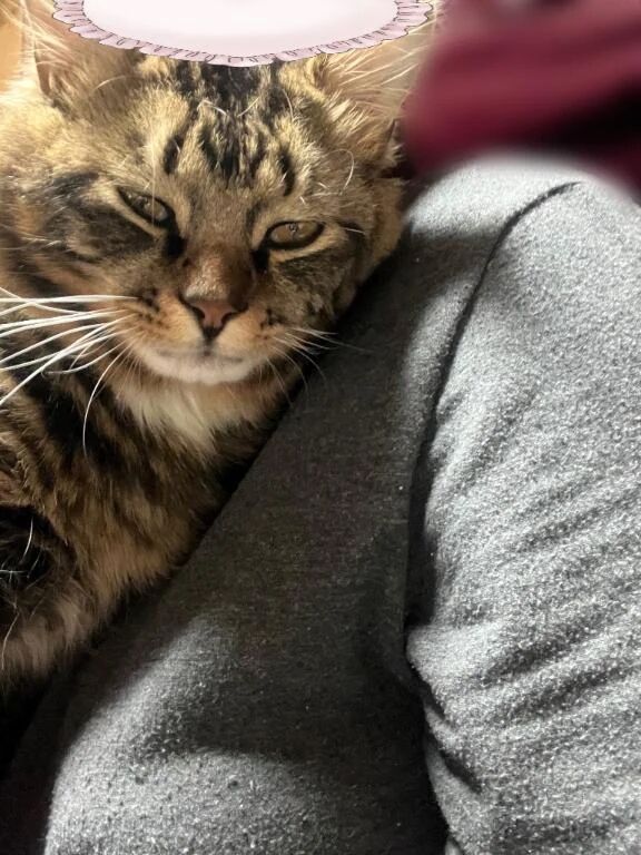 明日出勤します(*^^*)