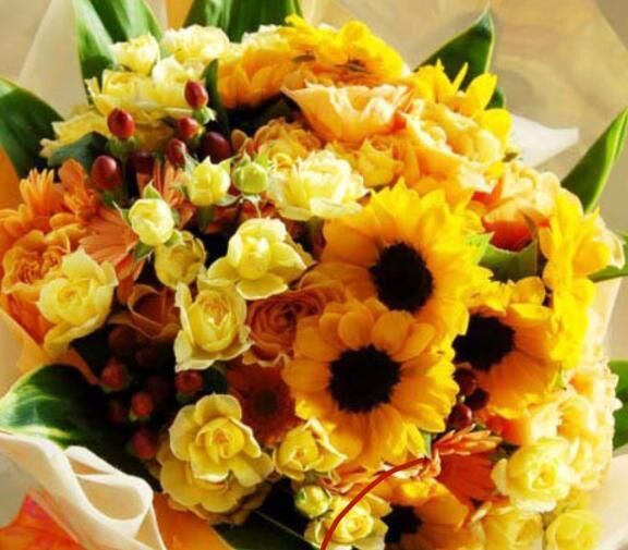 差し入れごちそうさま