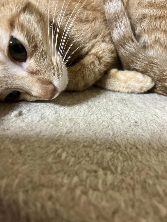 おやすみっ&#9825;