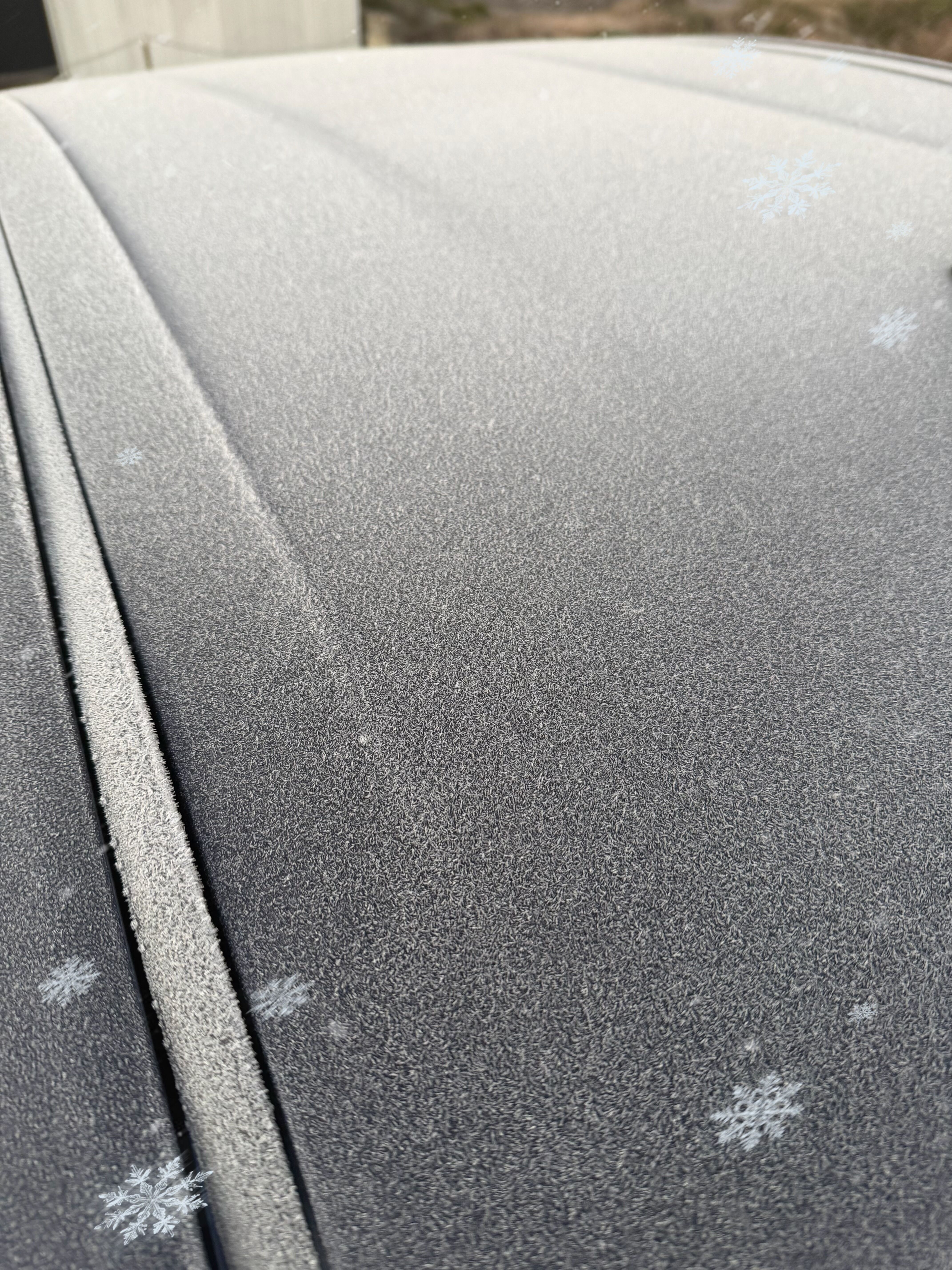 冬支度しないと…