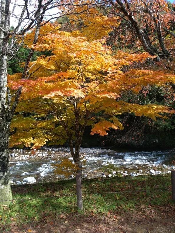 9∶30〜ご予約❤️