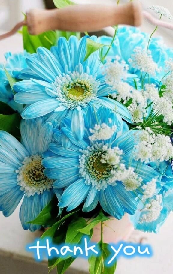 ✨26日みたよ♪の女の子会員の皆様✨