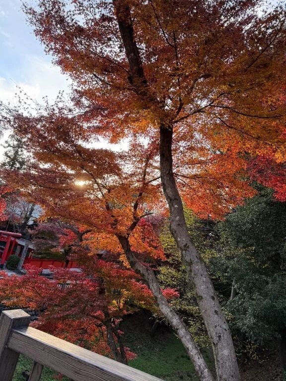 出勤&#127877;&#127995;