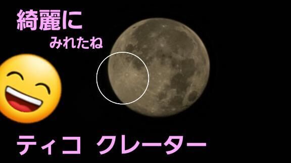 １８０００００００年♡いちおくはっせんまんねんまえ。。。。